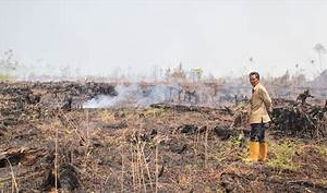 Low Risk of Transboundary Haze in 2024 Amid Milder Dry Season and La Niña’s Potential Return