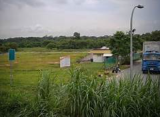 Tender for five vegetable farming sites launched to boost Singapore’s food resilience