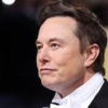 Elon Musk says xAI will examine universe, work with Twitter and Tesla