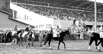 The Evolution of Horse Racing in Singapore