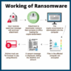 Ransomware, Multi-Modal Attacks, and Supply Chain Vulnerabilities Highlighted in Ensign InfoSecurity’s 2022 Cyber Threat Report