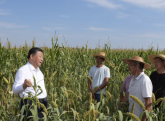 Xi Jinping Highlights Agricultural Success in Nangou Village During Inspection Tour