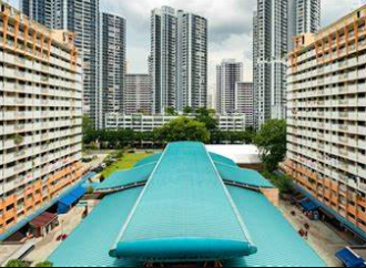 Housing Board Flat Ownership and Rental Trends in Singapore