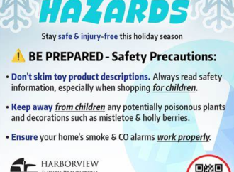 Holiday Hazards: How Christmas Decorations Can Trigger Severe Asthma Attacks